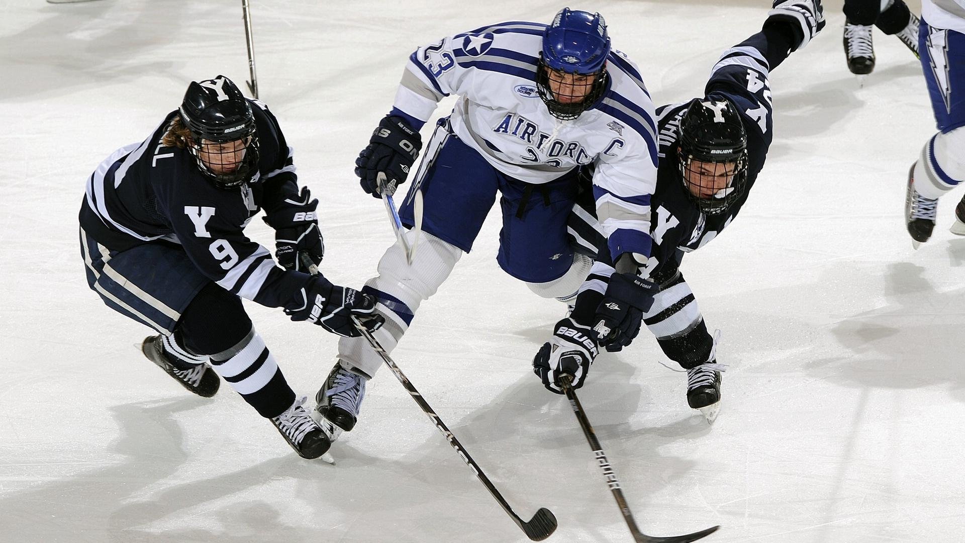 运动员职业规划指导方案，运动员职业生涯规划书3000字