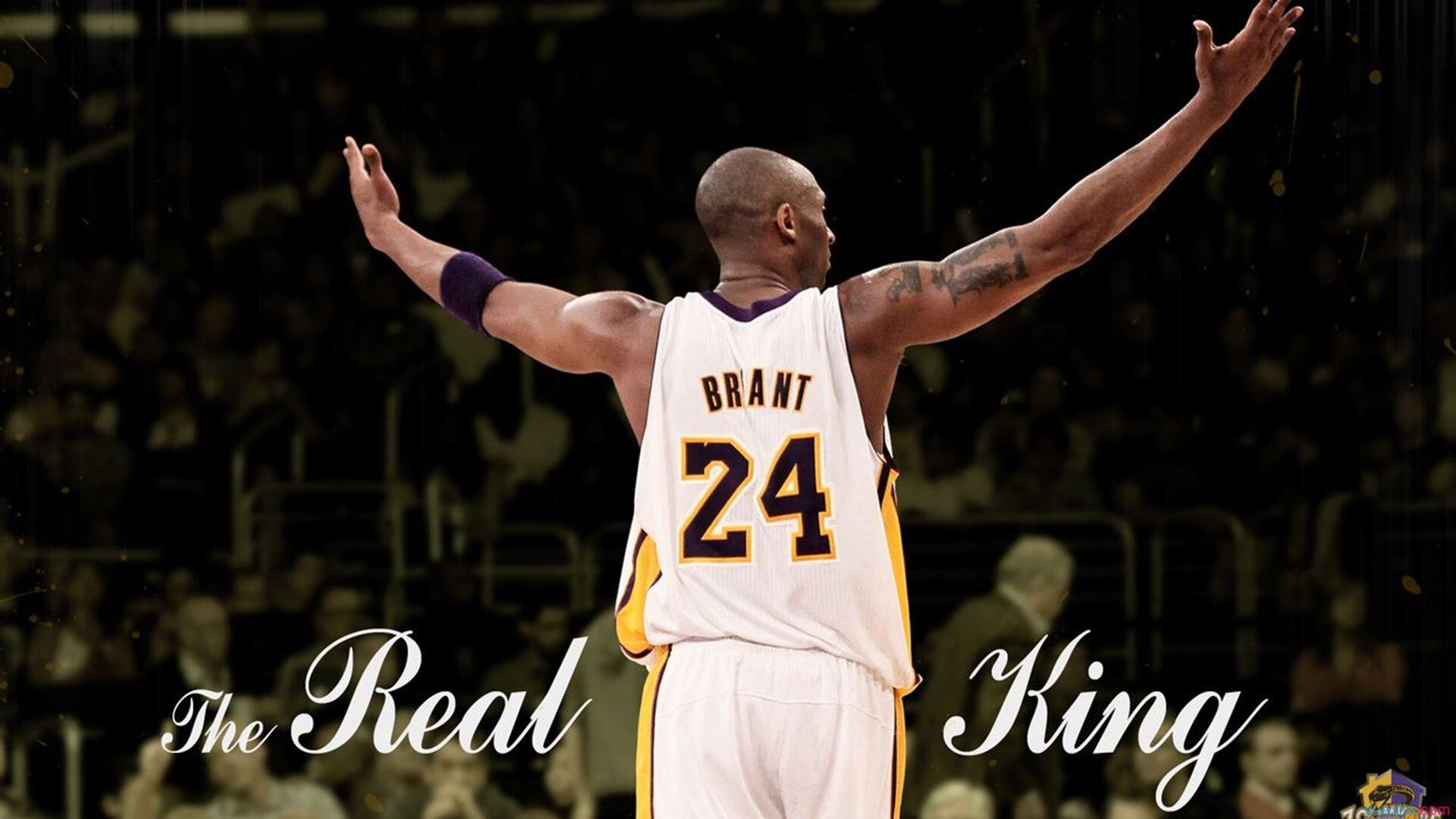 2024年印度队表现：如何在国际赛场逐渐接近世界一流，印度世预赛