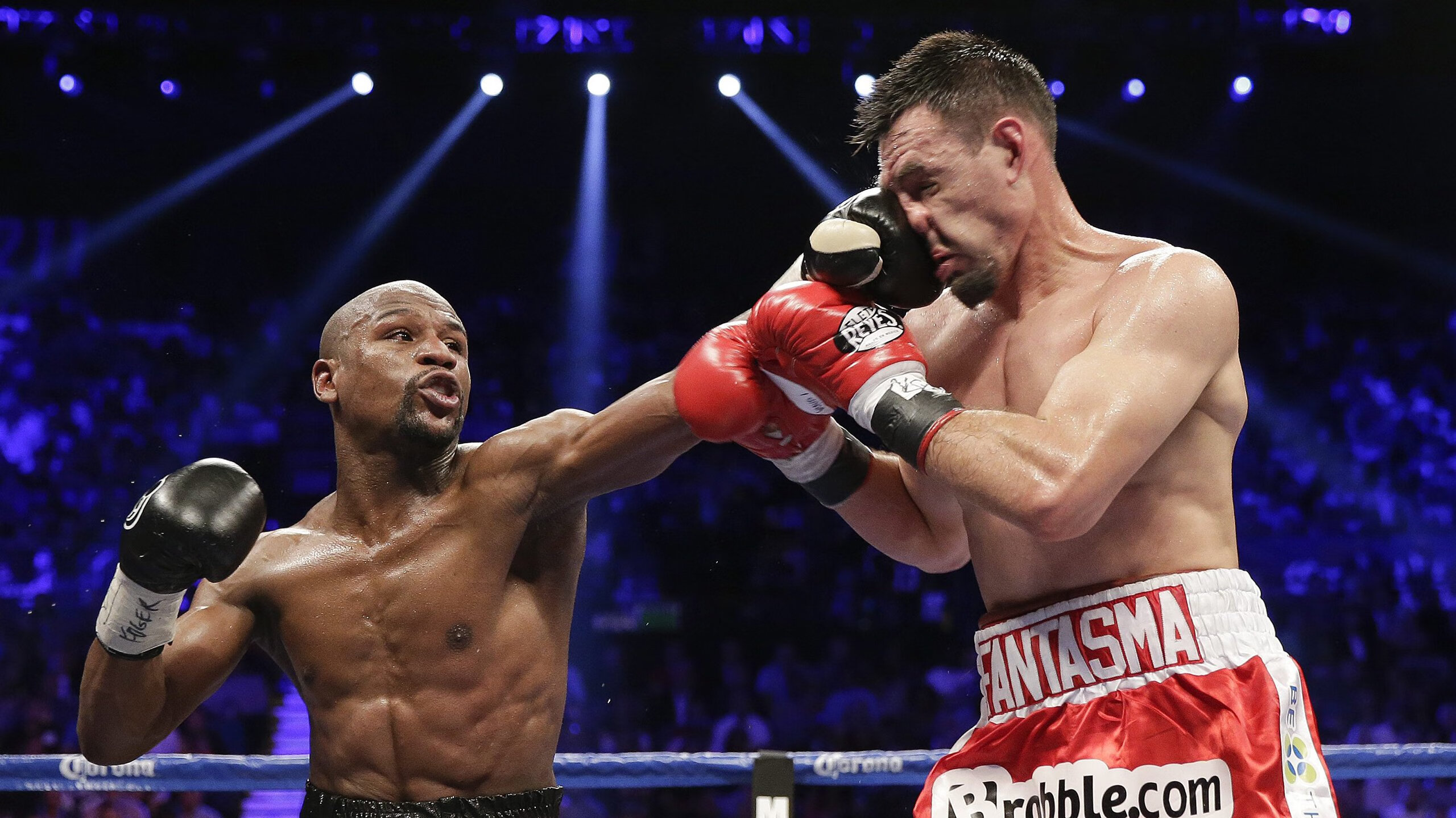 张伟丽接受央视专访谈未来目标,张伟丽再度发声